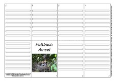 Faltbuch-Amsel-L-4.pdf